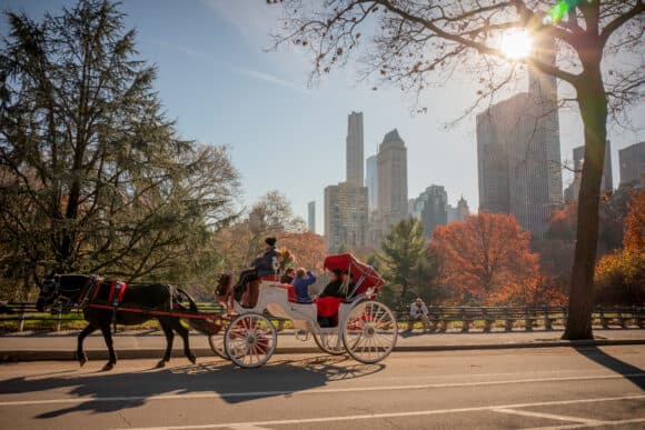 New York City Bans Horse-Drawn Carriages After Decade-Long Battle