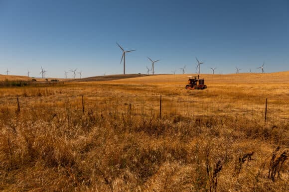 Pentagon Clears Wind Farms in Permitting Reform Push